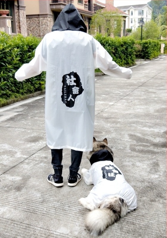 Taylor Treasure poliészter kutya esőkabát - háziállat ruházat, Kényelmes stílus