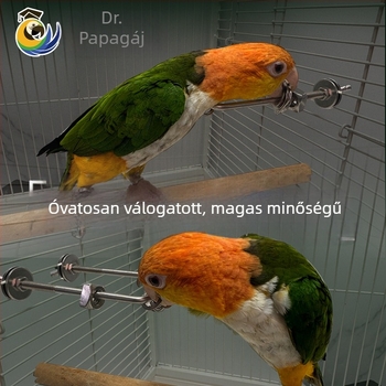 Papagáj harapófogó játék, rozsdamentes acél, ketrecbe lógó medál, interaktív stresszoldás (Eredet: Wenzhou; Import: Nem)
