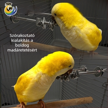 Papagáj harapófogó játék, rozsdamentes acél, ketrecbe lógó medál, interaktív stresszoldás (Eredet: Wenzhou; Import: Nem)