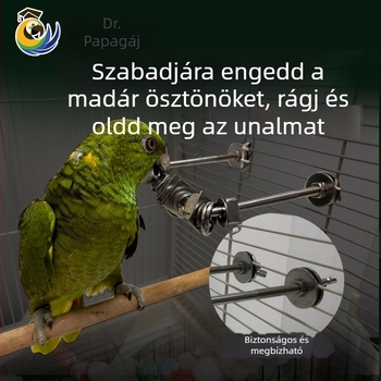 Papagáj harapófogó játék, rozsdamentes acél, ketrecbe lógó medál, interaktív stresszoldás (Eredet: Wenzhou; Import: Nem)