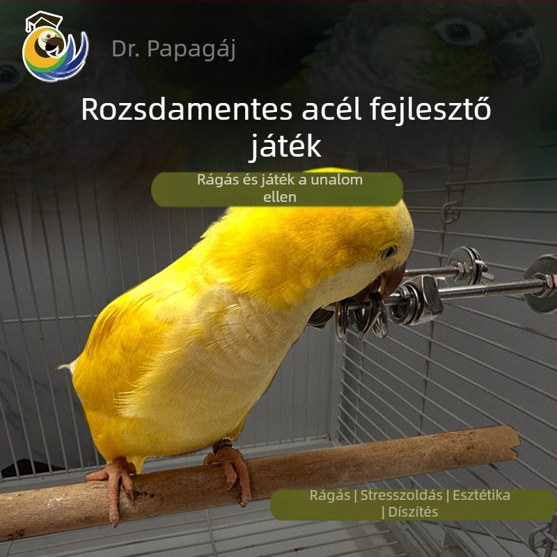 Papagáj harapófogó játék, rozsdamentes acél, ketrecbe lógó medál, interaktív stresszoldás (Eredet: Wenzhou; Import: Nem)