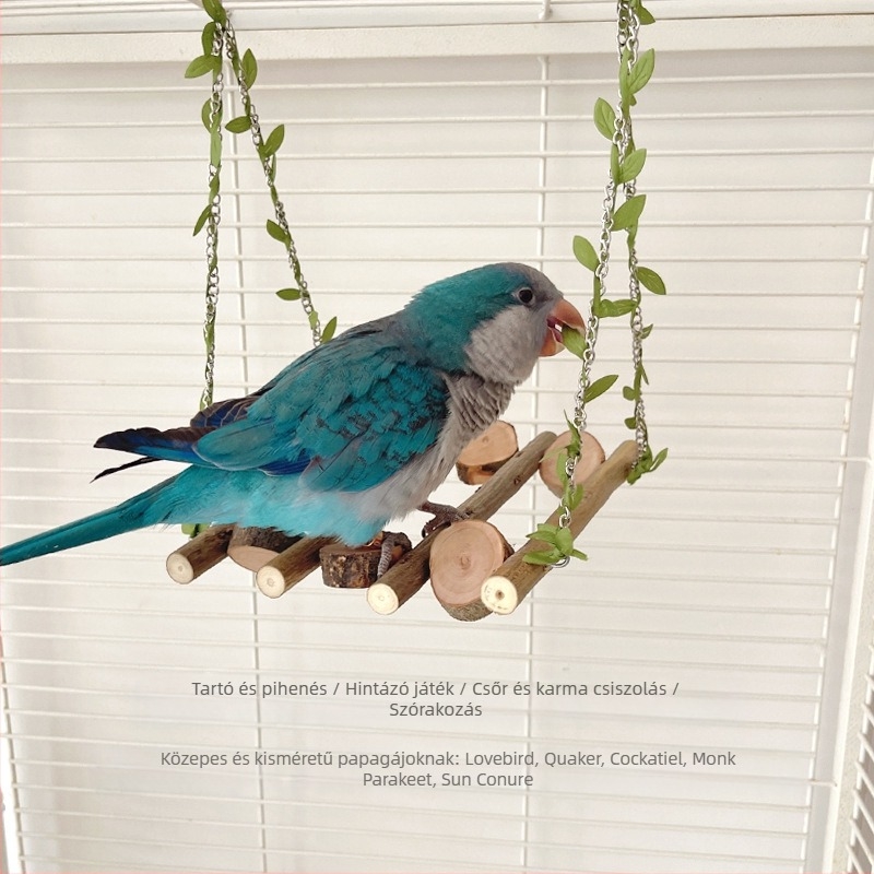 Fából készült papagáj játék ágakkal, hintázó résszel, kapaszkodó alappal és mászó létrával kisebb és közepes méretű papagájoknak