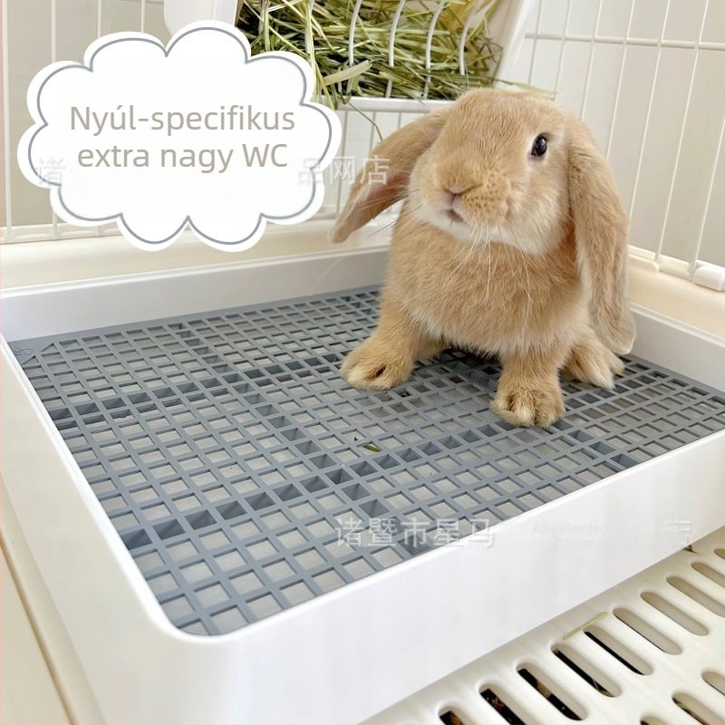 Tengerimalac és nyúl toalett-ürítő — Nem importált