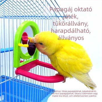 Madárketrec játék a saját szórakoztatásra és rágásra – műanyag tükrös játék Pro-pet, madarak számára, eredet Shandong