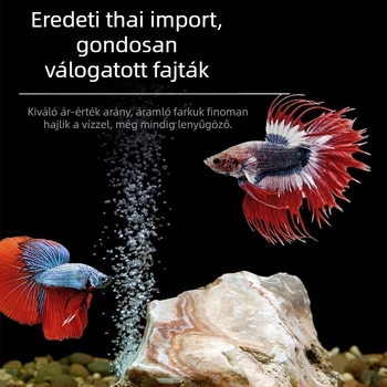 Tropikus díszhal – Eredet: Más – Importálás: Nem – Márka: Nincs – Faj: Hal