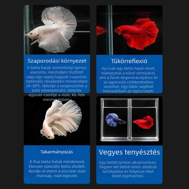 Tropikus díszhal – Eredet: Más – Importálás: Nem – Márka: Nincs – Faj: Hal