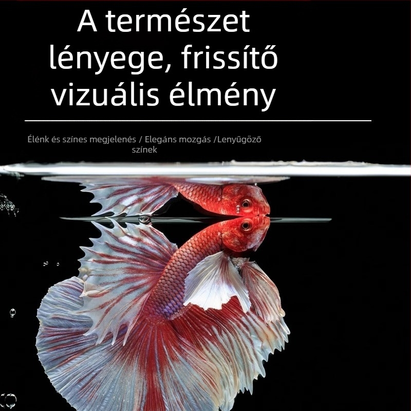 Tropikus díszhal – Eredet: Más – Importálás: Nem – Márka: Nincs – Faj: Hal