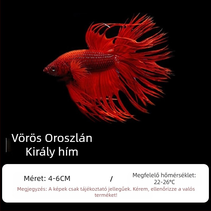 Tropikus díszhal – Eredet: Más – Importálás: Nem – Márka: Nincs – Faj: Hal