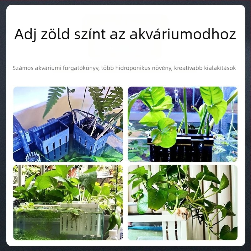 Akváriumhoz falra szerelhető hidroponikus növénykosár – dekoratív vízi növény kosár