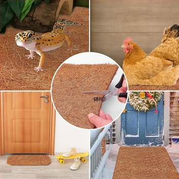 Háromrészes készlet – Coconut Palm Mat, Márka nélküli, Nem importált, Kertre és egyéb felhasználásra