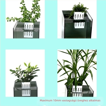 Műanyag akváriumi függő növénytartó pohár lélegző dizájnnal, vákuumos kampó a víz alatti növényekhez, 86,5 g, Guangdong Zhongshan