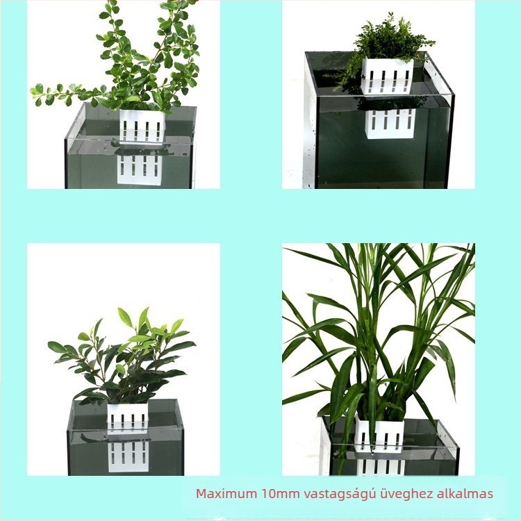 Műanyag akváriumi függő növénytartó pohár lélegző dizájnnal, vákuumos kampó a víz alatti növényekhez, 86,5 g, Guangdong Zhongshan