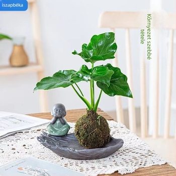 Moha gömb virágcserép orchideákkal és mini tájképpel, padlóra álló kivitel, pásztor-stílusú otthoni kertészeti