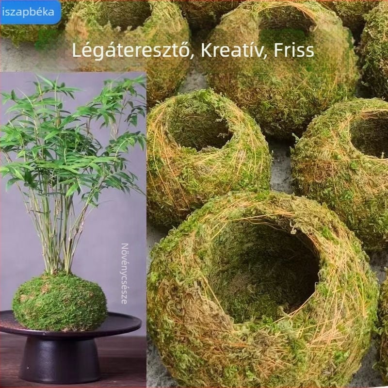 Moha gömb virágcserép orchideákkal és mini tájképpel, padlóra álló kivitel, pásztor-stílusú otthoni kertészeti