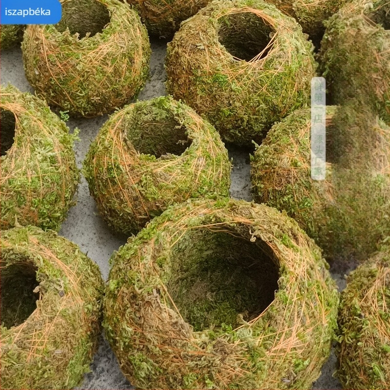 Moha gömb virágcserép orchideákkal és mini tájképpel, padlóra álló kivitel, pásztor-stílusú otthoni kertészeti