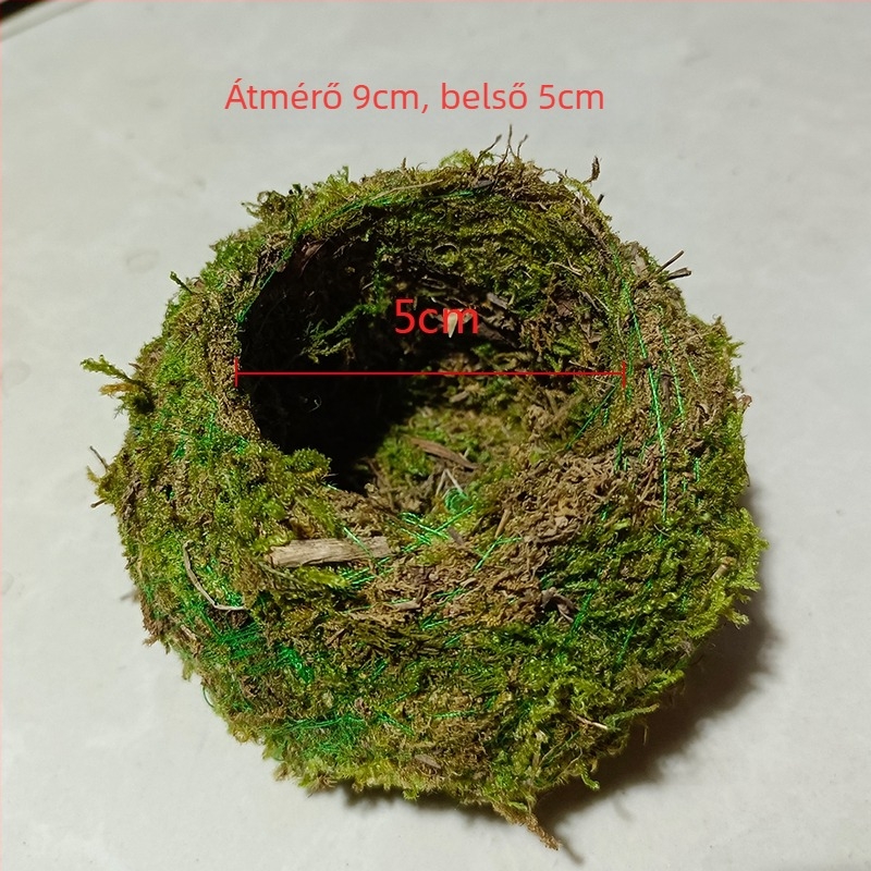 Moha gömb virágcserép orchideákkal és mini tájképpel, padlóra álló kivitel, pásztor-stílusú otthoni kertészeti