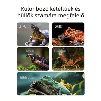 Mélyvízi teknőspatform lebegő szigettel és létrával – Anyag: gyanta; Márka: Tim Yue; Tömeg: 500; Akváriumi felszerelés