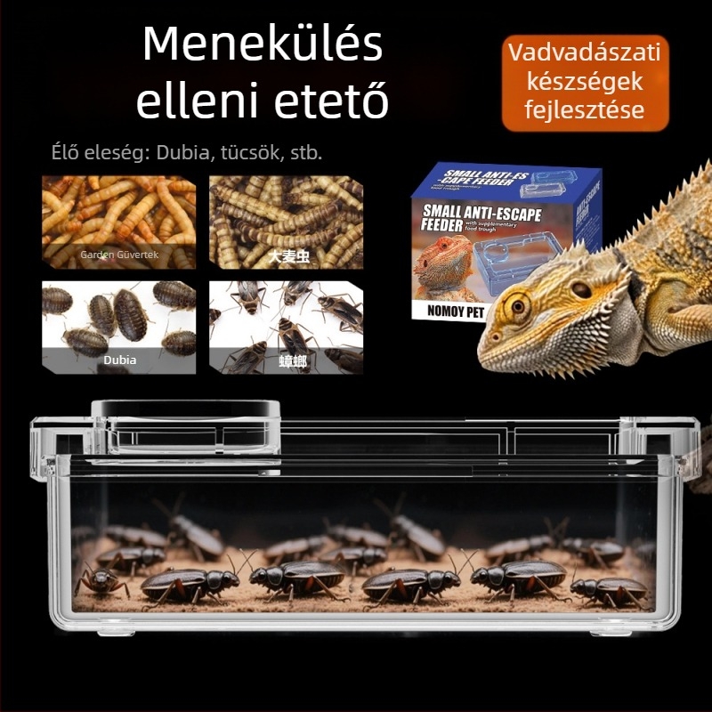 NOMOY PET Hüllő etetőedény gyíkok és teknősök számára — nem importált, alkalmas hüllőkre vagy madarakra.