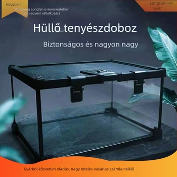 Fedéllel ellátott üveg terrárium arboreális hüllőknek, esőerdei ökoszisztéma élőhely, szaporítási doboz gecko számára