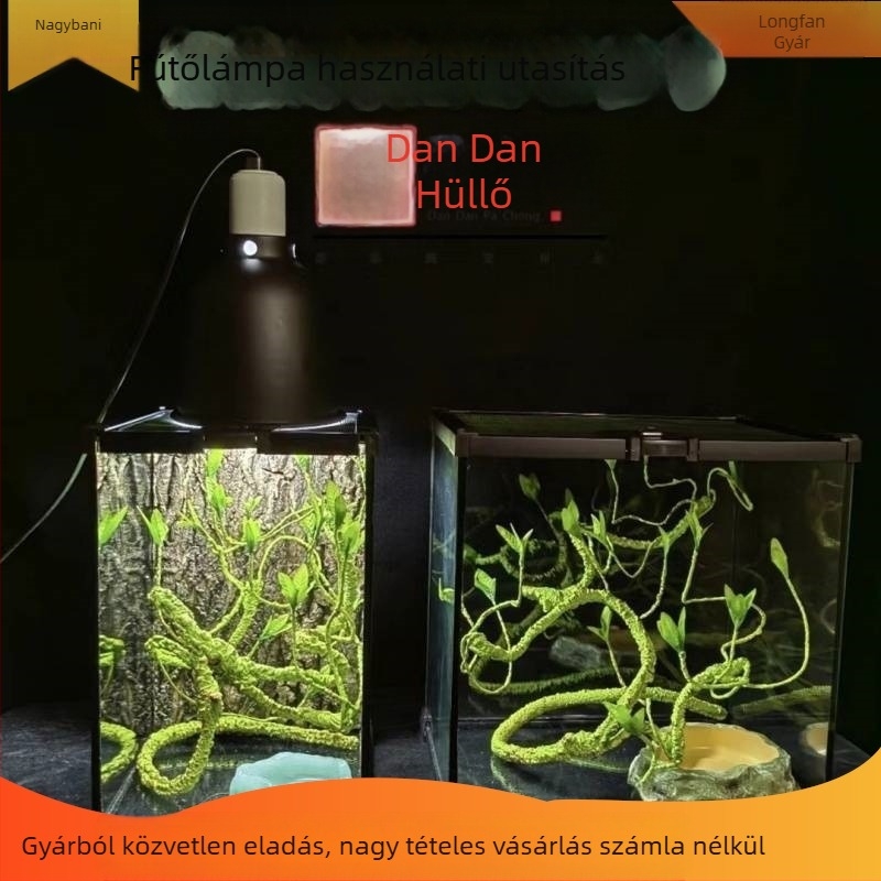 Fedéllel ellátott üveg terrárium arboreális hüllőknek, esőerdei ökoszisztéma élőhely, szaporítási doboz gecko számára