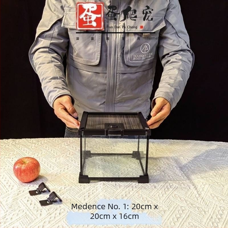 Fedéllel ellátott üveg terrárium arboreális hüllőknek, esőerdei ökoszisztéma élőhely, szaporítási doboz gecko számára