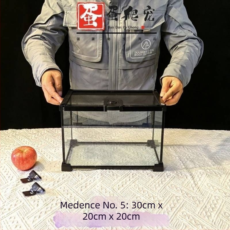 Fedéllel ellátott üveg terrárium arboreális hüllőknek, esőerdei ökoszisztéma élőhely, szaporítási doboz gecko számára