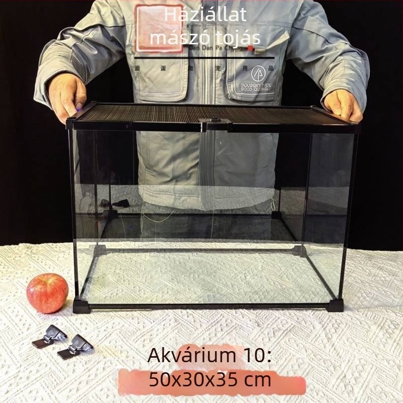 Fedéllel ellátott üveg terrárium arboreális hüllőknek, esőerdei ökoszisztéma élőhely, szaporítási doboz gecko számára