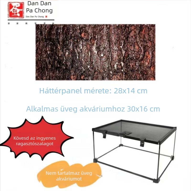 Fedéllel ellátott üveg terrárium arboreális hüllőknek, esőerdei ökoszisztéma élőhely, szaporítási doboz gecko számára