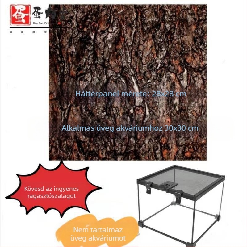 Fedéllel ellátott üveg terrárium arboreális hüllőknek, esőerdei ökoszisztéma élőhely, szaporítási doboz gecko számára