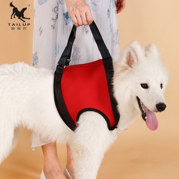 Kutyák és nagy testű háziállatok számára funkcionális segítőöv – lépcsőzéshez, be- és kiszálláshoz, sétákhoz – TAILUP márka