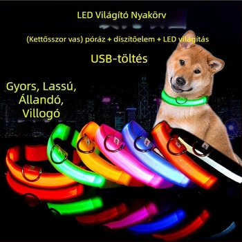 Monokróm nylon LED kutyapóráz éjszakai fény, töltési opciók S/M/L/XL