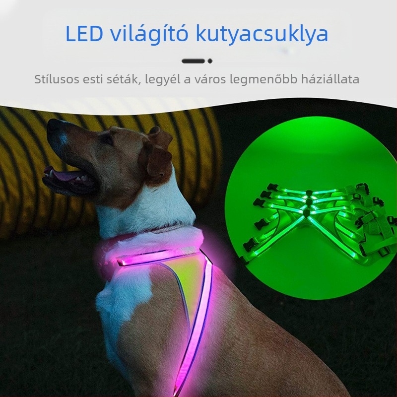 LED USB-töltésű kutya mellkasi pánt nylonból, állítható, éjszakai sétákhoz