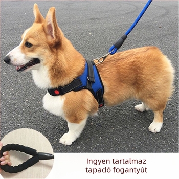 Nylon kutyahám mellény-stílusban Teddy, Francia bulldog és Corgi számára