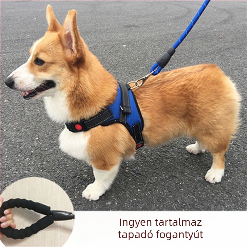 Nylon kutyahám mellény-stílusban Teddy, Francia bulldog és Corgi számára