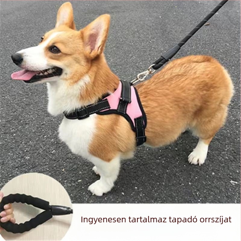 Nylon kutyahám mellény-stílusban Teddy, Francia bulldog és Corgi számára