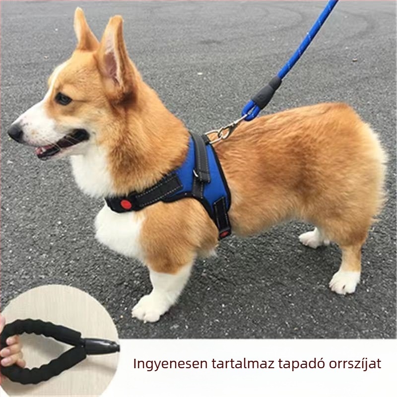 Nylon kutyahám mellény-stílusban Teddy, Francia bulldog és Corgi számára