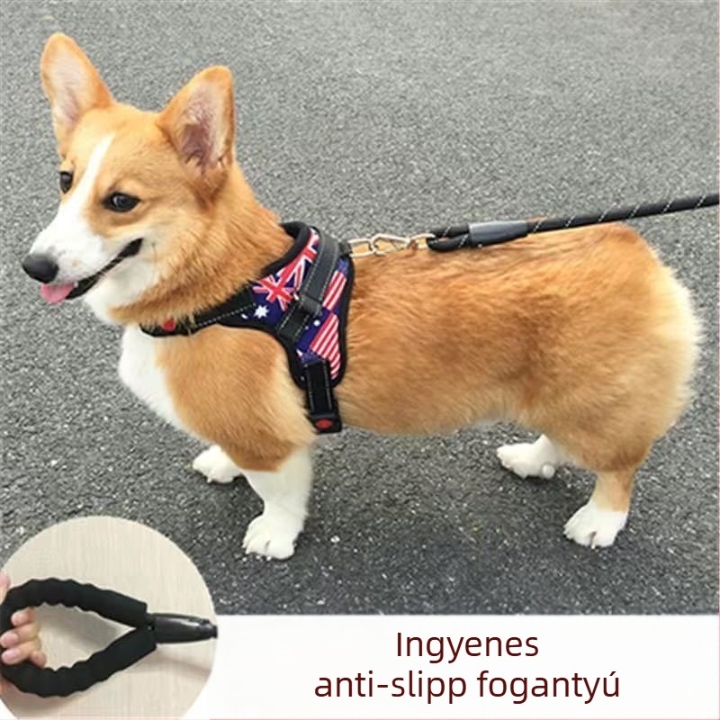 Nylon kutyahám mellény-stílusban Teddy, Francia bulldog és Corgi számára