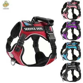 Synergy Pet Állítható Poliészter Kutyahám és Póráz Készlet