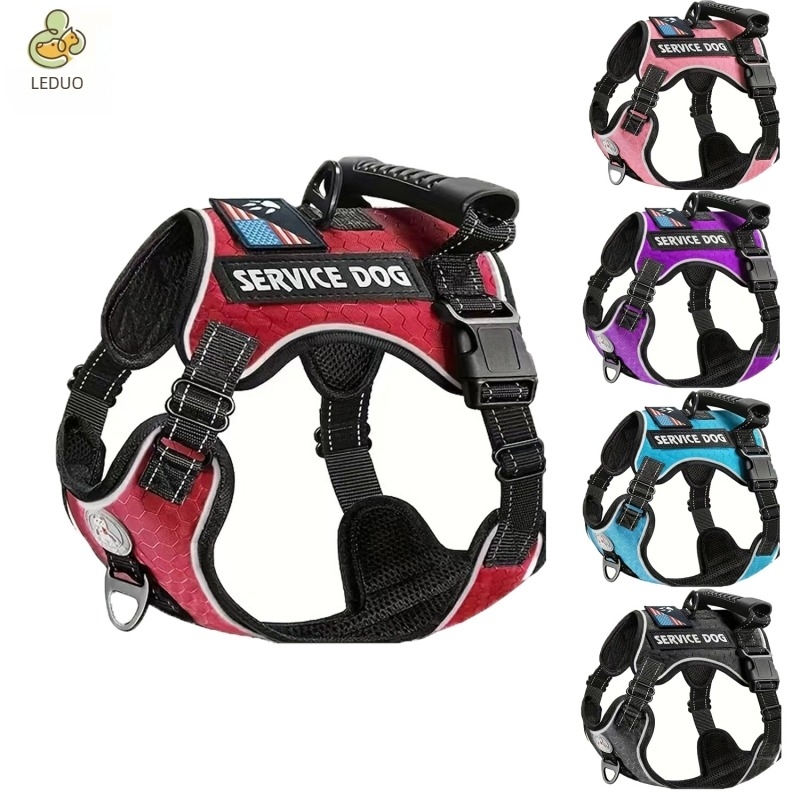 Synergy Pet Állítható Poliészter Kutyahám és Póráz Készlet