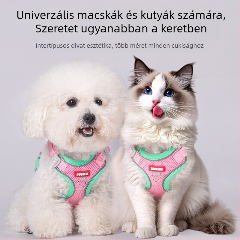 Belu Mellkasöv háziállatoknak – Poliészter, állítható, macskáknak, dobozban 240 db