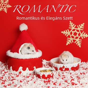 Kerámiából készült hörcsög tál, márka BUCATSTATE, háziállat etetőedény