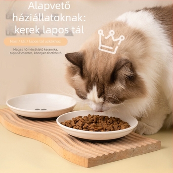 Macska etető tál, kézi etetés, macskáknak, háziállat kellékek