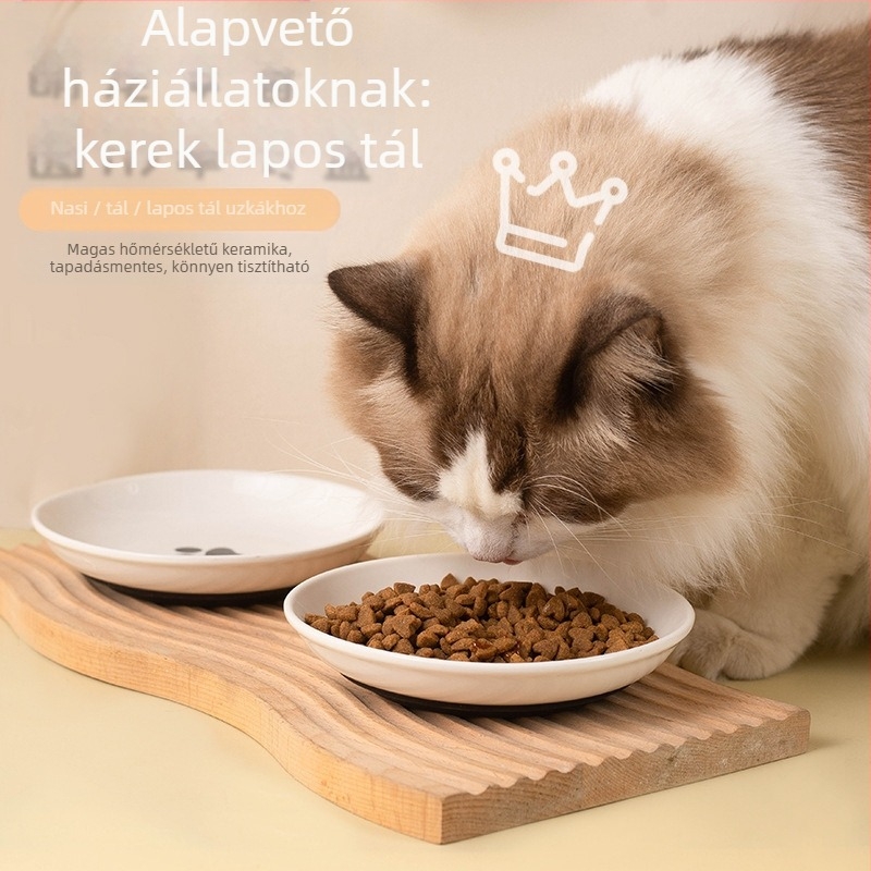 Macska etető tál, kézi etetés, macskáknak, háziállat kellékek