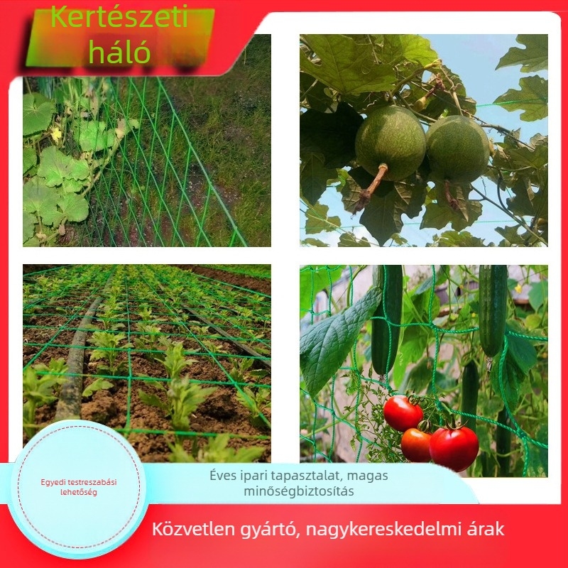 Szőlő- és zöldségkerti kapaszkodó háló — polietilén kerti háló, márka Dongpu