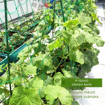 Kapaszkodó keret növényeknek, műanyag bevonatú acélcsövek, kertészkedéshez