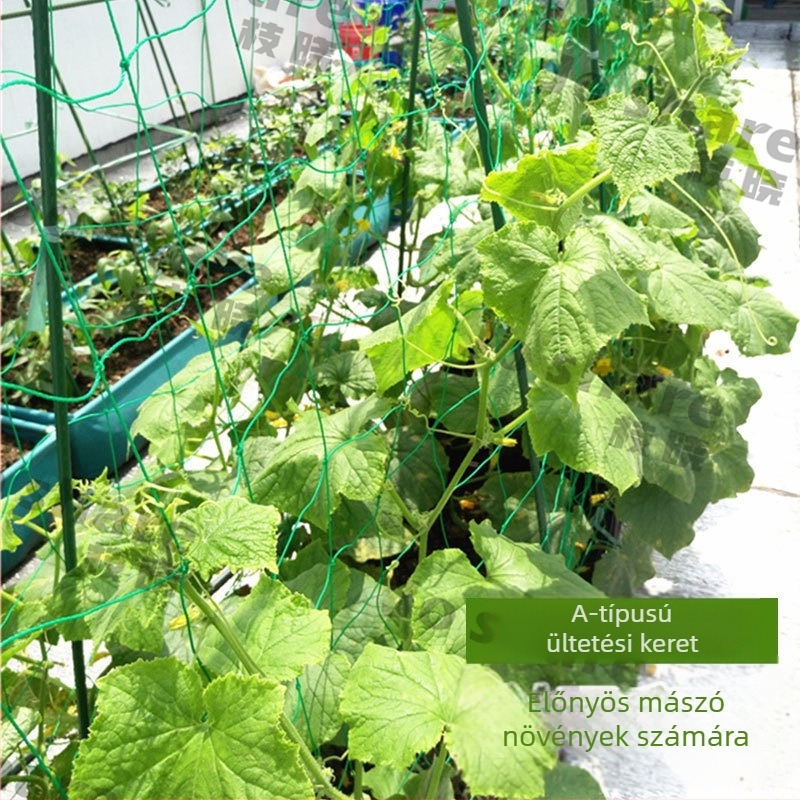 Kapaszkodó keret növényeknek, műanyag bevonatú acélcsövek, kertészkedéshez