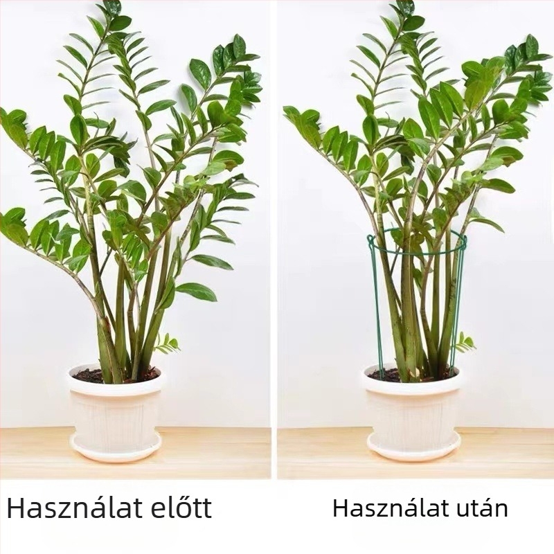 Kertészeti vas oszlop a növények támogatására, Q195 acélcső + PE burkolat, kerthez — Yuchi Gardening