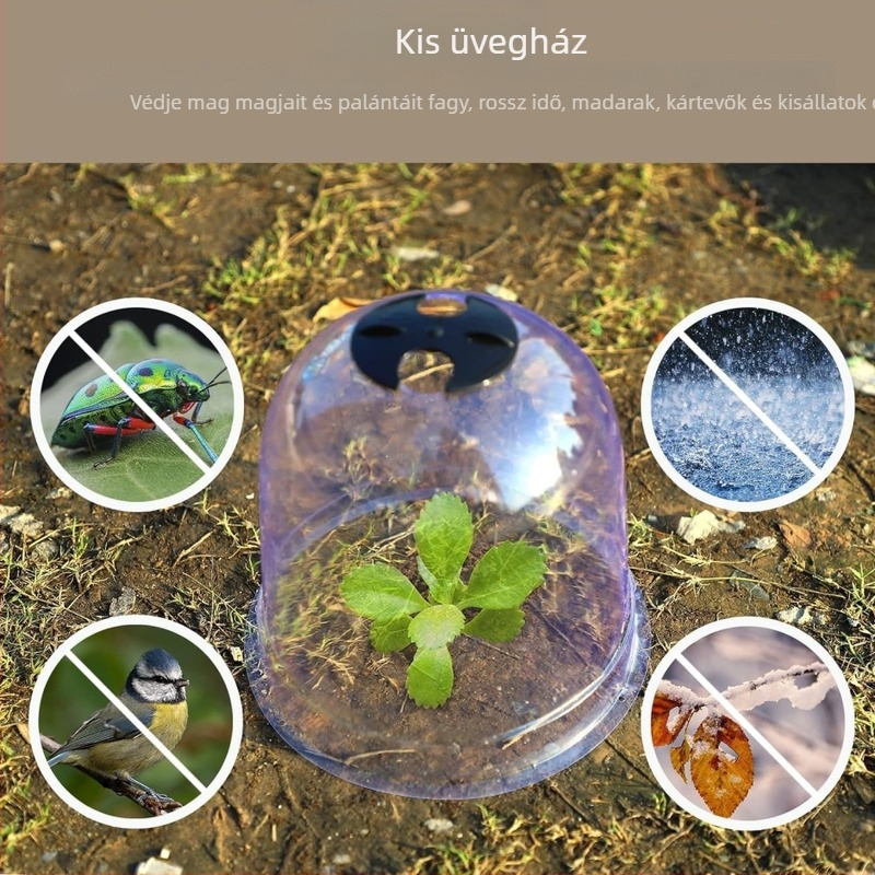 Kimang PET palánta védőfedél üvegházhoz és palánta ápoláshoz