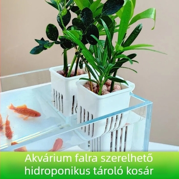 Falonra rögzített hidropóniás tál vízi növényekhez, üreges ültetőkosárral (Eredet: Shandong)