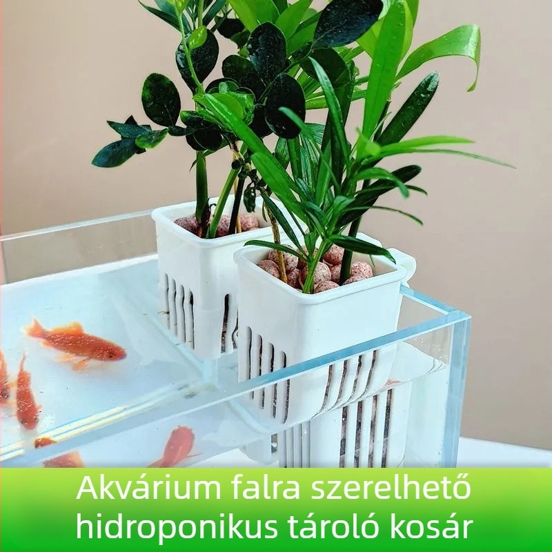 Falonra rögzített hidropóniás tál vízi növényekhez, üreges ültetőkosárral (Eredet: Shandong)